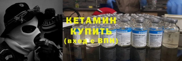 трава Белокуриха