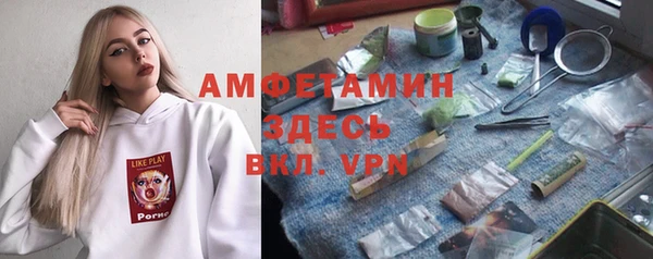 трава Белокуриха