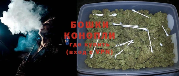 трава Белокуриха